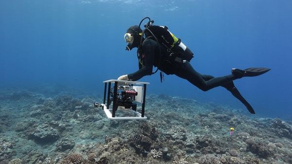 为了解和保护珊瑚礁 研究人员为其绘制3D地图