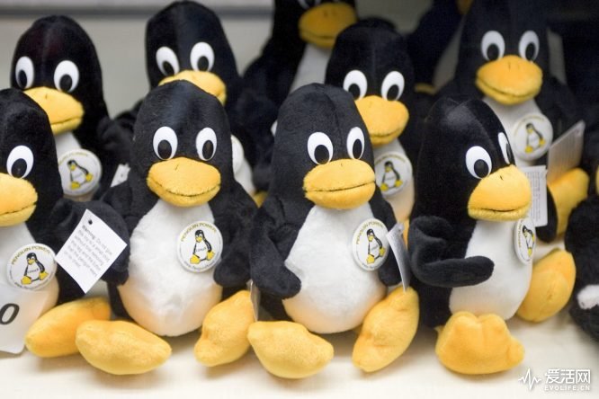 小企鹅哭了 开源尖兵慕尼黑从Linux回头转投Windows 10怀抱