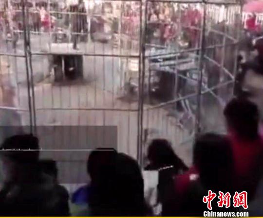 视频画面显示,现场人员密集,老虎冲出笼子后,人群四散,现场一度陷入混乱,幸亏饲养员及时将老虎捉回。 事发现场视频截图摄 视频画面显示,现场人员密集,老虎冲出笼子后,人群四散,现场一度陷入混乱,幸亏饲养员及时将老虎捉回。 事发现场视频截图摄
