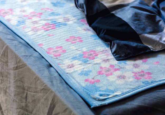 如何使用电热毯除螨 8643F69B0FCE4F72D0B84E7AB8C2BD14BA1DED7B_size36_w625_h438.jpeg