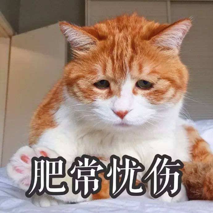 生活丧里丧气的,只有表情包能拯救我