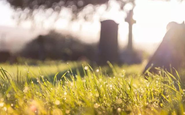 2018年放假通知出炉,您的18年出游计划看好了