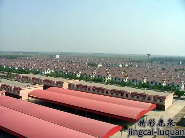 【捷报】沸腾了!鹿泉这个村子又获新荣誉!让全