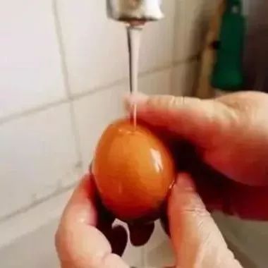 鸡蛋到底该不该洗？结果可能出人意料