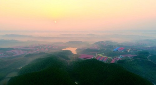 明康汇《寻味》走进南陵基地 揭生态土猪2000年黑历史