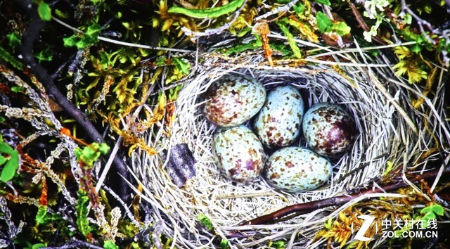 既能投影又能照明 松下PT-JX200GWC评测 