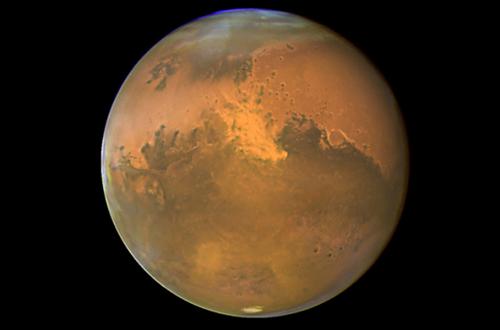 科学家最新研究：蠕虫后代终于在模拟火星的环境下诞生！