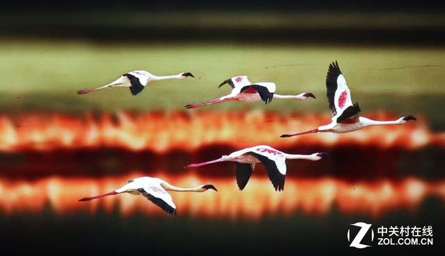 既能投影又能照明 松下PT-JX200GWC评测 