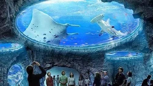 阜阳拔高标杆建新城城南新区 西湖新区大步走