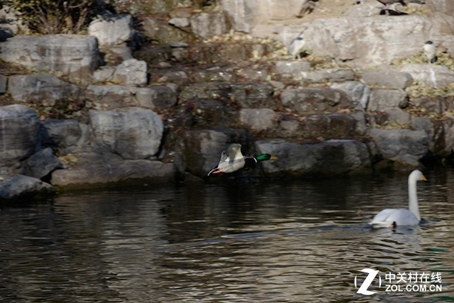 来，干了这碗“德味” 徕卡CL相机评测 