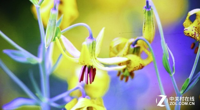 既能投影又能照明 松下PT-JX200GWC评测 