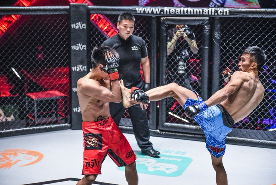 功夫革命！综合格斗MMA成为流行文化的N种可能