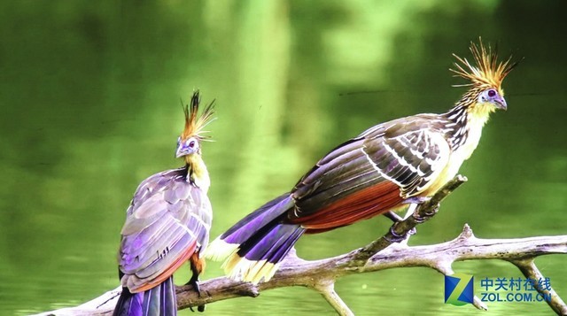 既能投影又能照明 松下PT-JX200GWC评测 