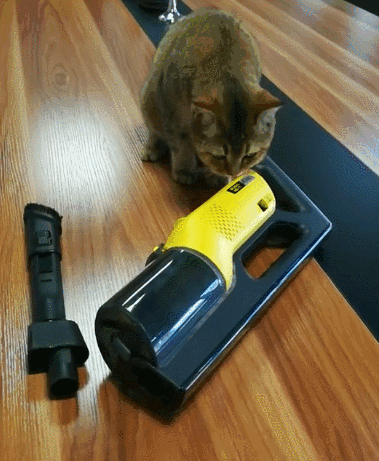 379_461gif 动态图 动图