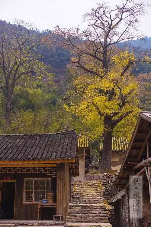 小浦人口_陈小纭失踪人口剧照(2)