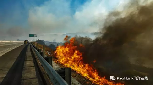 美国加州大火失控20万人逃离，紧急疏散要带什么？