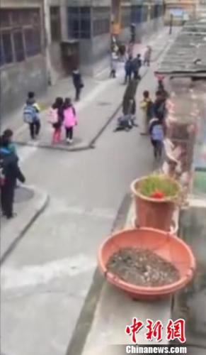 西安小学生被托管班员工当街拖行 官方：已停业整顿