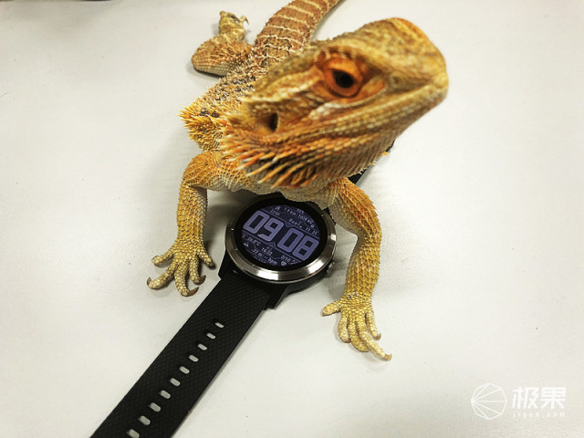 佳明（Garmin）vívoactive3户外运动腕表