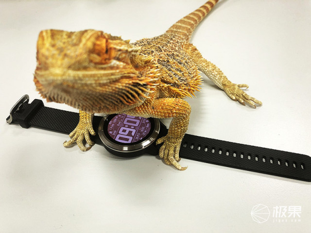 佳明（Garmin）vívoactive3户外运动腕表