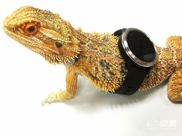 佳明（Garmin）vívoactive3户外运动腕表