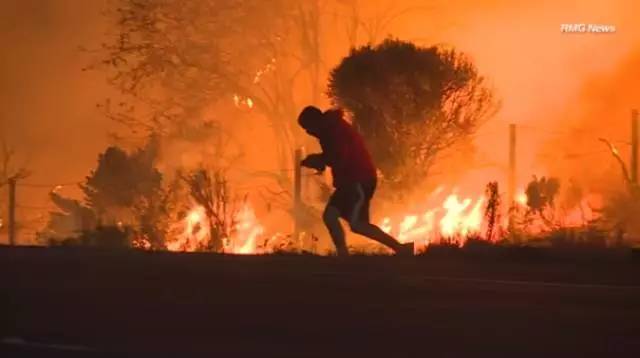 加州大火持续失控，而他却为救兔子奔赴火海