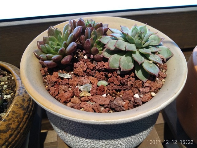 360 N6 Lite:不盲从全面屏也是好手机（保密不发） 