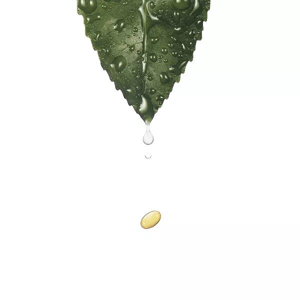 慈善组织保值增值投资活动管理暂行办法 (征求