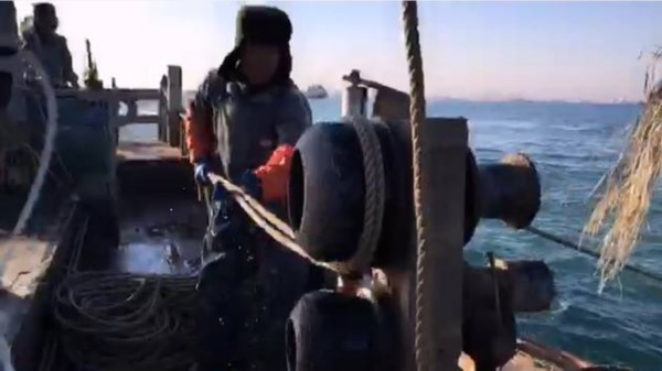 青岛 渔民主播 直播出海打渔走红,今天一网捞上