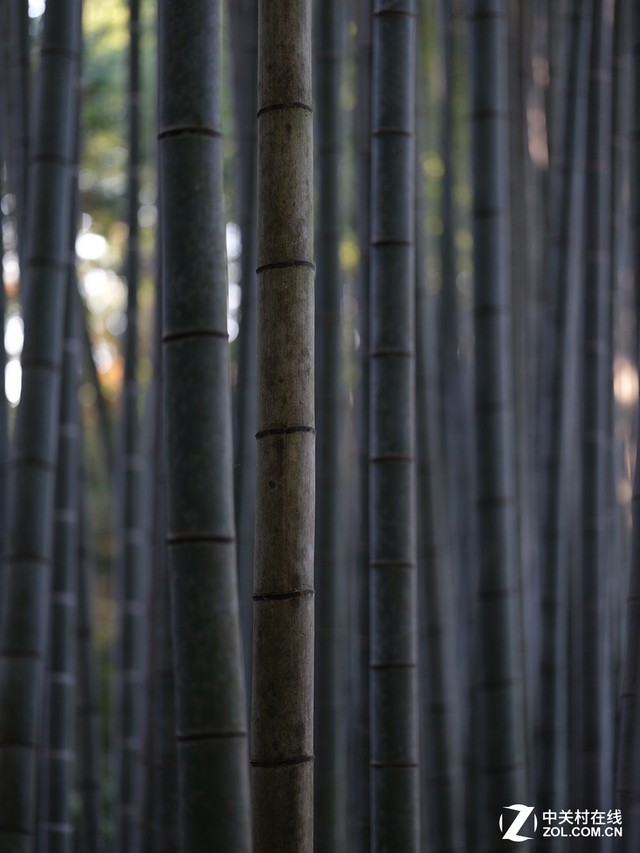 顶级虚化体验 富士GF 110mm f/2.0评测 