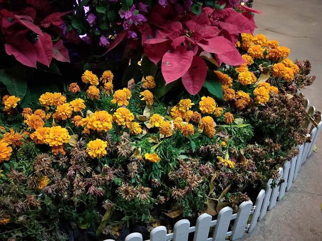 OPPO R11s Plus评测：吃鸡手游新掌机 