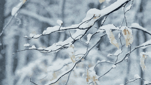 峨嵋峰绝美雾凇雪景,约么?