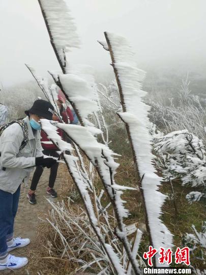 图为游客在罗浮山上观赏“雪景”。　刘艳如 摄