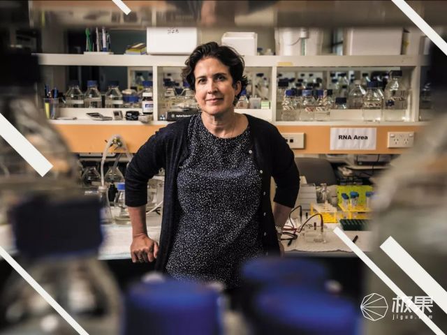 《Nature》评选2017年度十大科学人物!看哭了无数人 《Nature》评选2017年度十大科学人物!看哭了无数人