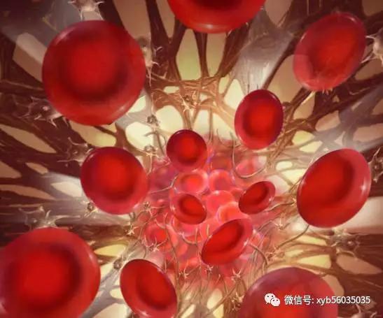 治疗血液病“造血干细胞移植”不单单只有一种!