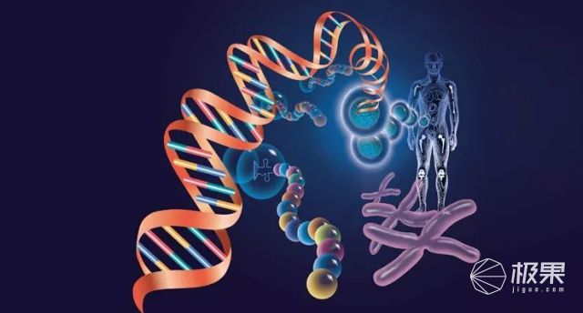 《Nature》评选2017年度十大科学人物!看哭了无数人 《Nature》评选2017年度十大科学人物!看哭了无数人