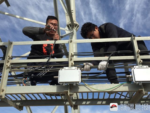 中亚5国总gdp_中亚牧羊犬