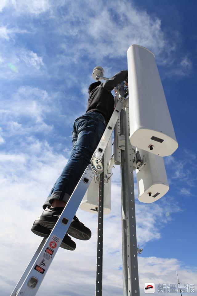 中亚5国总gdp_中亚牧羊犬