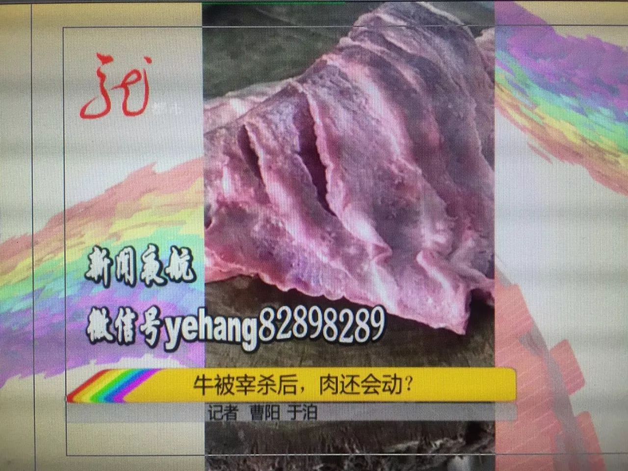 买回的牛肉在菜板上自己动起来 专家:正常现象