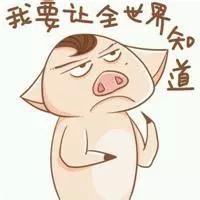 女孩|今天的你,也要做一枚精致的猪猪次女一表情生和多久聊图片