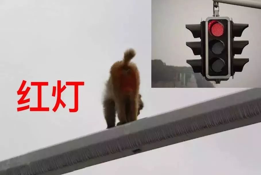 Ƕӣ˾ѡƨɡ һɲ׷β