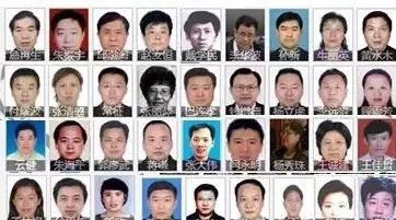 2017“打虎”战报：40名省部级高官获刑