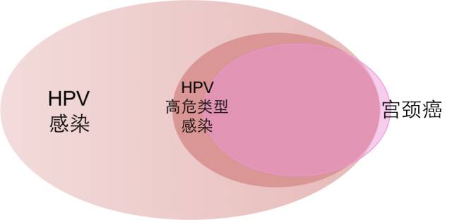 宫颈癌疫苗到底该不该打?每个人都该找到自己