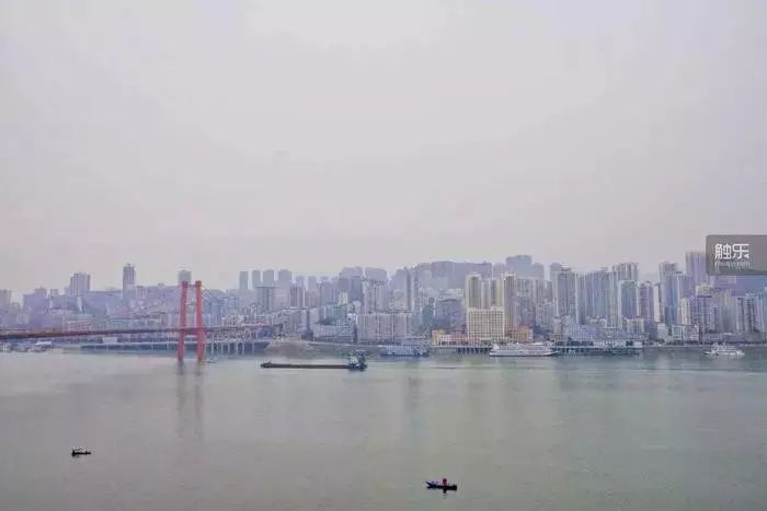 点击查看大图 点击查看大图