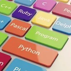 Python已经被编进小学教材了？啥时候纳入高考