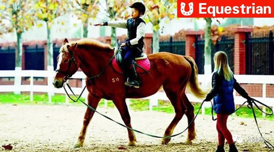 武汉海淀外国语实验学校:马术课学费6000,近百