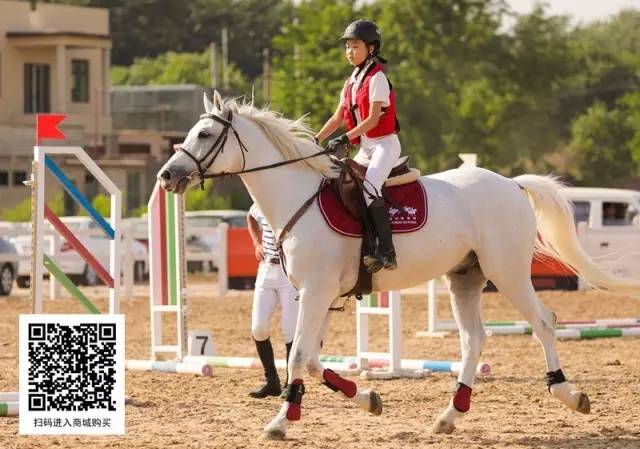 武汉海淀外国语实验学校:马术课学费6000,近百
