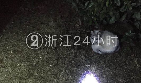 微信截图_20171231184512.png