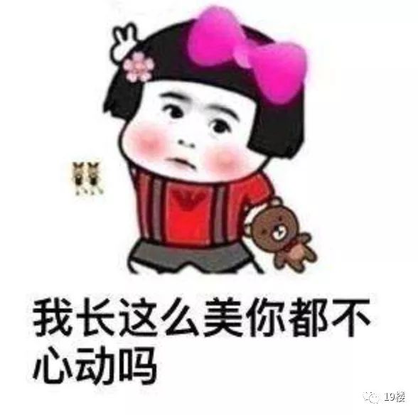 我的18岁,怕是脑壳有问题哦