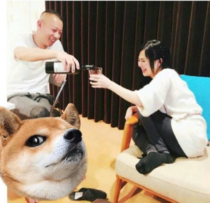 文章配图