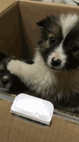 吃奶中,别烦我表情包动态gif表情图片 找表情上表情家